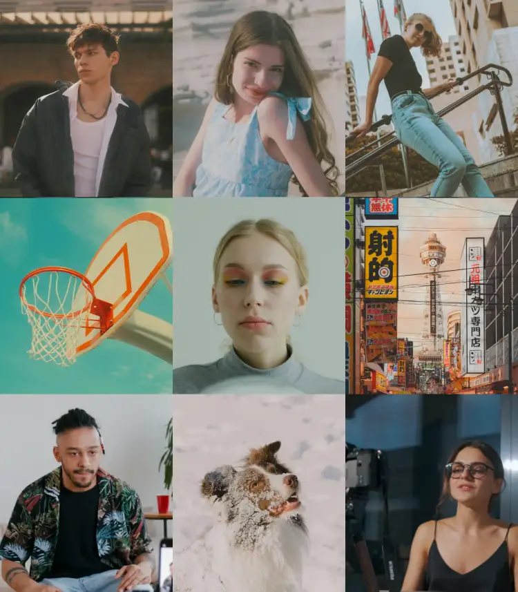 Daisy creator content grid
